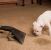 Crescent City Odor Removal by Teddy Bear Carpet Care LLC
