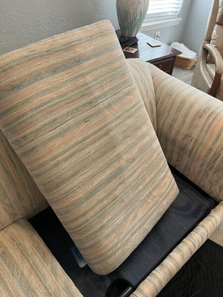 Upholstery Cleaning in Ponte Vedra Beach, FL (5)
