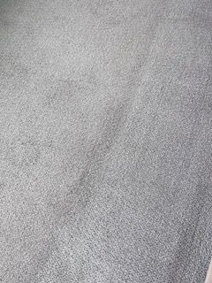 Before & After Carpet Cleaning in Ponte Verda Beach, FL (4)
