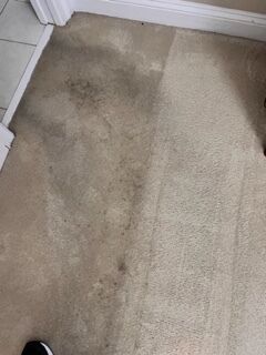 Carpet Cleaning Services in Ponte Vedra Beach, FL (2)