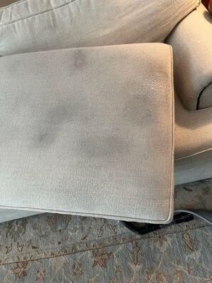 Before and After Upholstery Cleaning in Middleburg, FL (1)