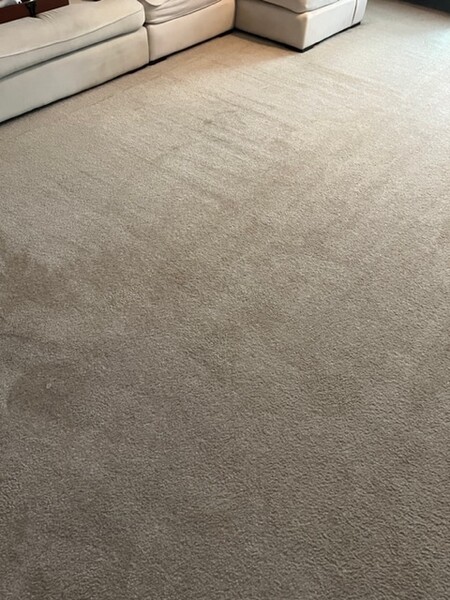 Carpet Cleaning in Middleburg, Florida