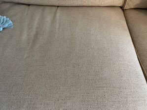 Upholstery Cleaning Services in Jacksonville, FL (1)