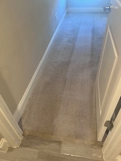 Before & After Carpet Cleaning in Ponte Verda Beach, FL (2)
