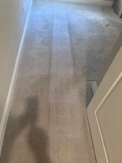 Before & After Carpet Cleaning in Ponte Verda Beach, FL (1)
