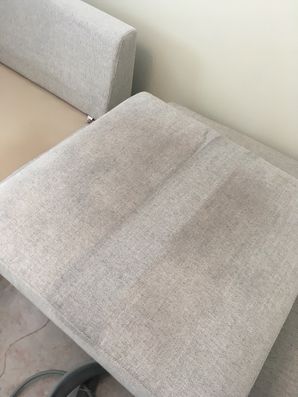 Upholstery Cleaning in Jacksonville, FL (1)