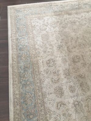 Rug Cleaning in Jacksonville, FL (3)