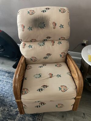 Before & After Upholstery Cleaning in Jacksonville, FL (1)