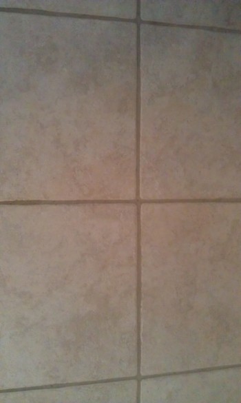 Tile & Grout Cleaning in Jacksonville, FL by Teddy Bear Carpet Care LLC