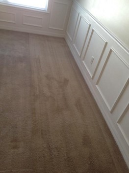 Carpet Cleaningin St. Augustine, FL, Look at the incredible difference.