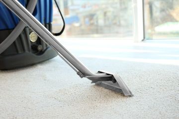 Carpet Steam Cleaning in Orange Park by Teddy Bear Carpet Care LLC