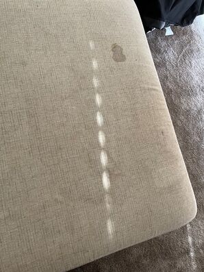Upholstery Cleaning (Upholstered Bench), in Palm Coast, FL (2)