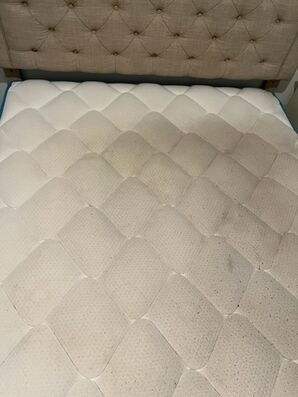 Before & After Mattress Cleaning in Saint Augustine, FL (1)
