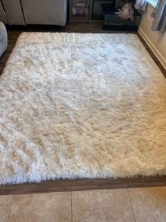 Specialty Rug Cleaning in Jacksonville, FL (2)