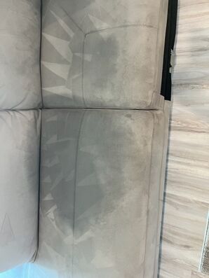 Sofa Cleaning in Jacksonville, FL (1)