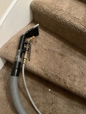 Before & After Stair Carpet Cleaning in Jacksonville, FL (1)