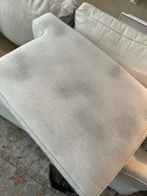 Before and After Upholstery Cleaning in Middleburg, FL (2)