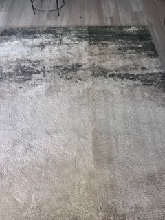 Area Rug Cleaning in Fruit Cove, FL (3)