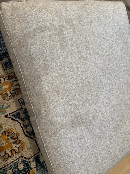 Upholstery Cleaning Services in Jacksonville, FL (3)