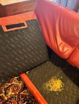 Leather Sofa Cleaning in Jacksonville, FL (1)