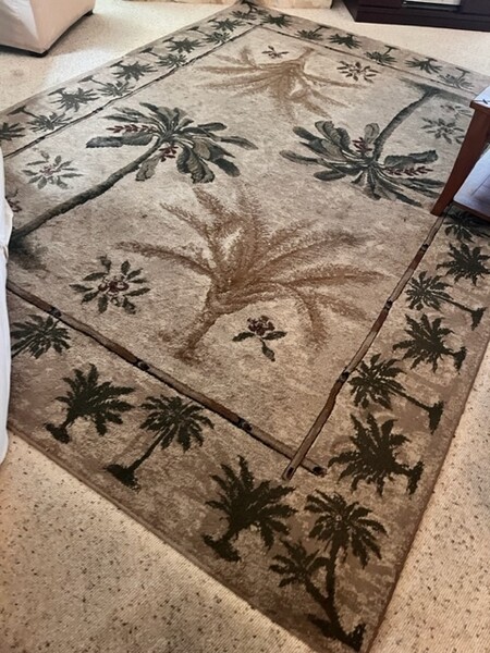 Rug Cleaning in Jacksonville, FL (1)