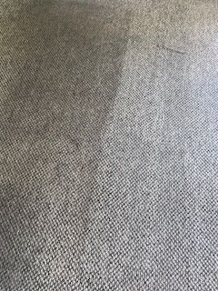 Before & After Carpet Cleaning in ST. Augustine, FL (1)