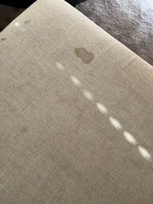 Upholstery Cleaning (Upholstered Bench), in Palm Coast, FL (1)