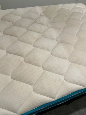 Before & After Mattress Cleaning in Saint Augustine, FL (3)