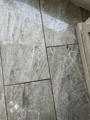 Before & After Tile & Grout Cleaning in Jacksonville, FL (2)