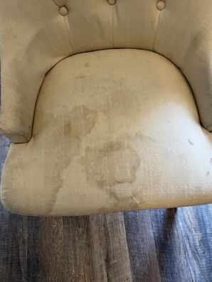 Before & After Upholstery Cleaning Services in St. Augustine, FL (2)