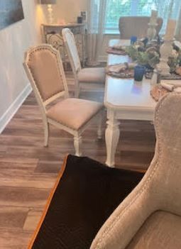 Upholstery Cleaning in Saint Augustine, FL (1)