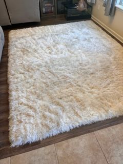 Specialty Rug Cleaning in Jacksonville, FL (1)