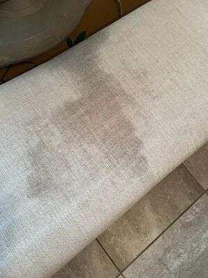 Upholstery Cleaning Services in St. Augustine, FL (2)