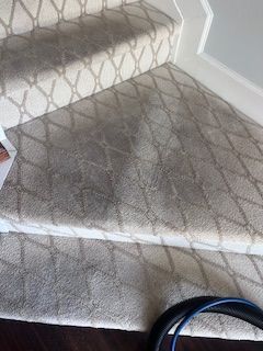 Carpet Cleaning in Jacksonville, FL (2)