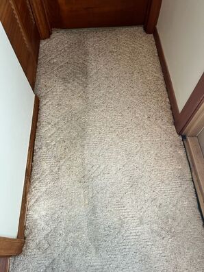 Before & After Carpet Cleaning in Palm Coast, FL (2)