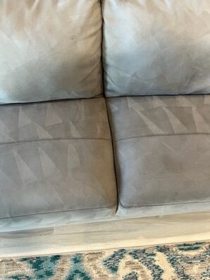 Sofa Cleaning in Jacksonville, FL (4)