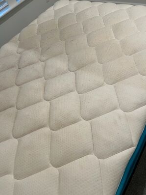 Before & After Mattress Cleaning in Saint Augustine, FL (2)