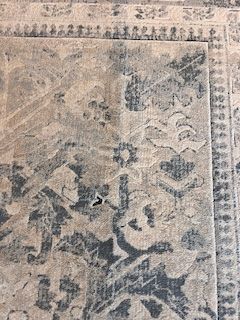 Area Rug Cleaning in Jacksonville, FL (2)