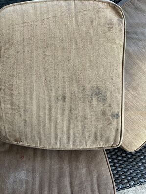 Before and After Upholstery Cleaning Services in Saint Augustine, FL (2)