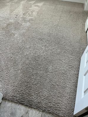 Carpet Cleaning in Jacksonville, FL (1)