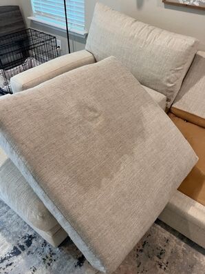 Before and After Couch Cleaning in Saint Augustine, FL (1)