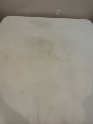 Before and After Mattress Cleaning in Jacksonville, FL (1)