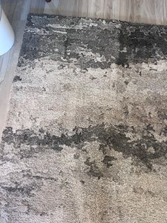 Area Rug Cleaning in Fruit Cove, FL (1)