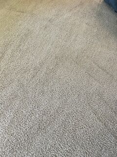 Carpet Cleaning in Jacksonville, FL (4)