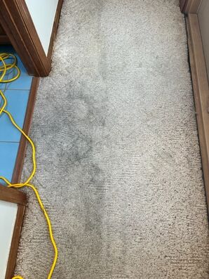 Before & After Carpet Cleaning in Palm Coast, FL (1)