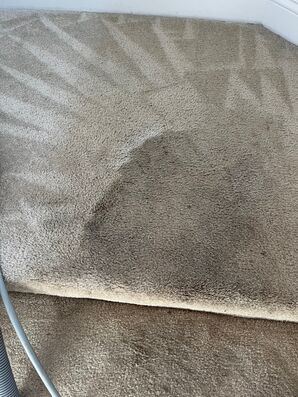 Before and After Carpet Cleaning (Stair Cleaning) in Jacksonville, FL (1)