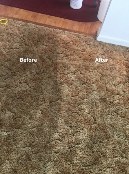 Before & After Carpet Cleaning in Jacksonville, FL (1)