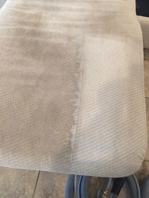 Before & After Upholstery Cleaning in Jacksonville, FL (1)