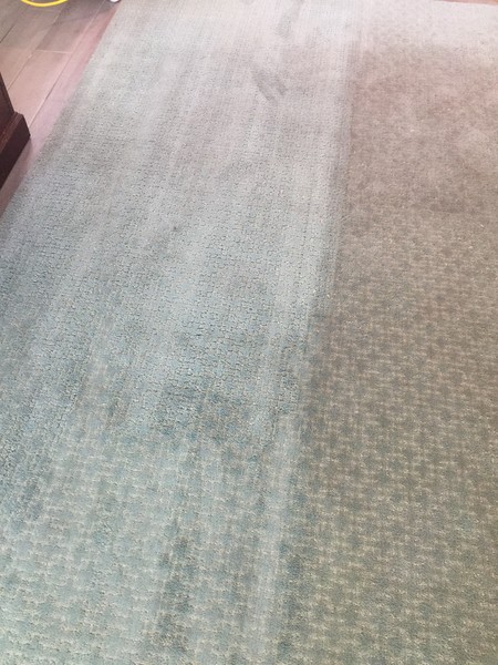 Area Rug Cleaning in Jacksonville, FL (3)