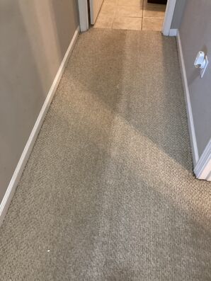Before & After Carpet Cleaning in Jacksonville, FL (2)